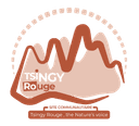 Tsingy Logo