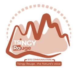 Tsingy Logo