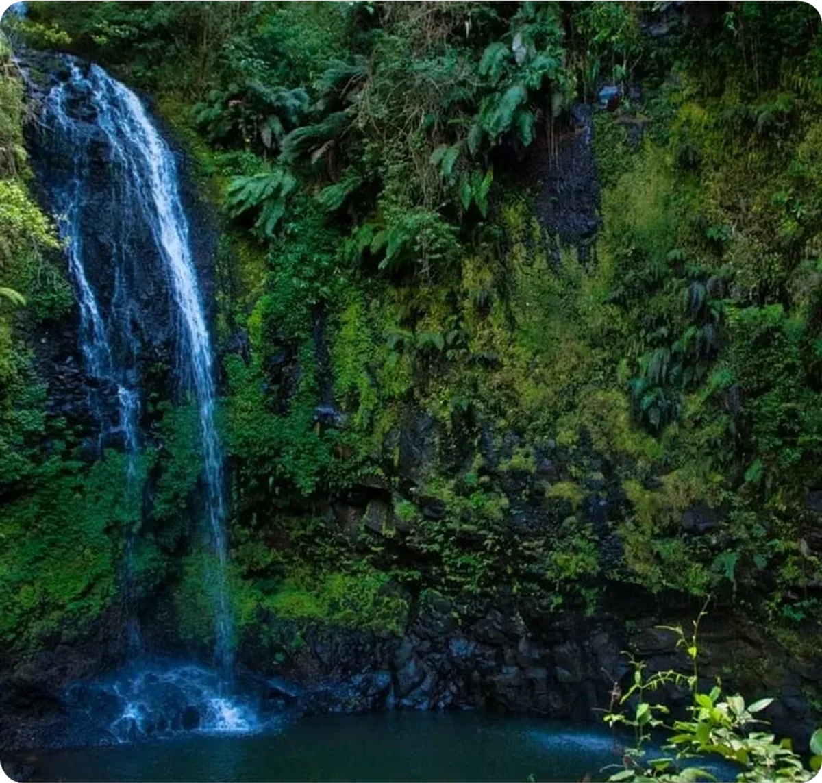 Cascade